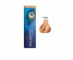 10/04 Koleston Perfect