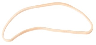 Elastici Fatasia