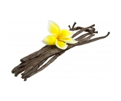 Candela Olio da Massaggio Vaniglia