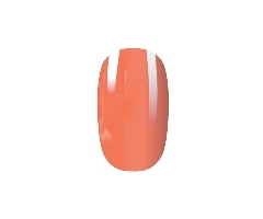 N° 21 - Gel Colorato \