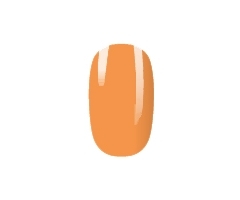 N° 134 - Gel Colorato \