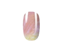 N° C3 CAMALEONTE - Gel Colorato \
