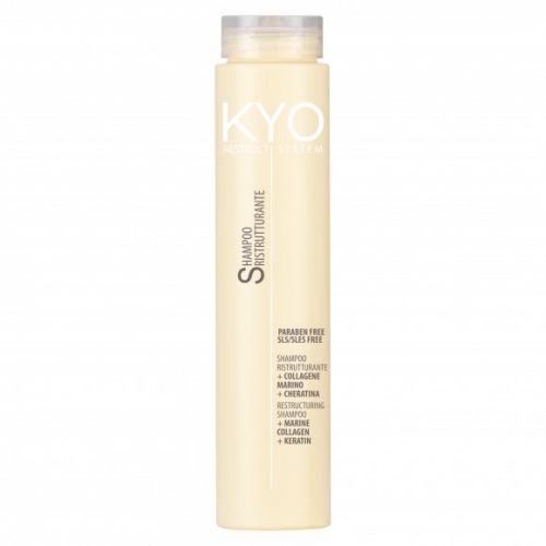 Kyo Shampoo Restruct System 250 ml