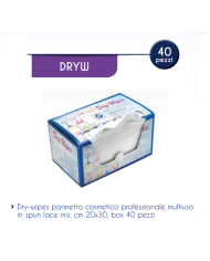 DRY WIPES PANETTO COSMETICO CNF X 40