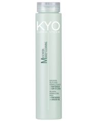 KYO MASCHERA CLEANSE-SYSTEM 250 ML
