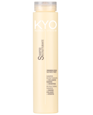 KYO SHAMPOO RESTRUCT-SYSTEM 250 ML