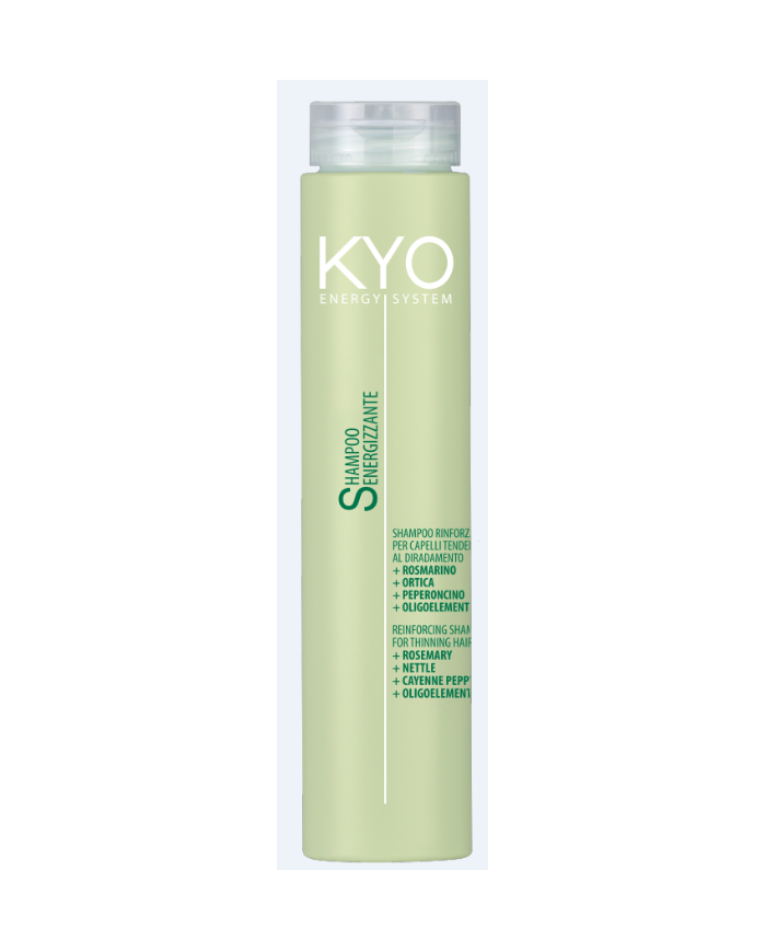 KYO SHAMPOO ENERGY SYSTEM 250 ML