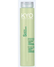 KYO SHAMPOO ENERGY SYSTEM 250 ML