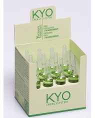 KYO FIALE ENERGY SYSTEM 10 ML X 10 FL