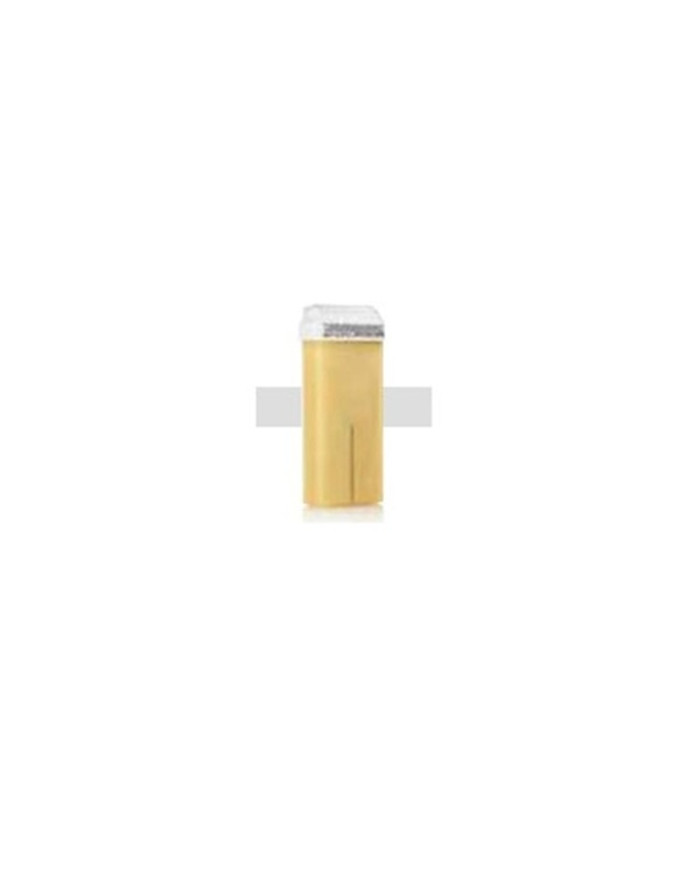 CERA DEPIWELL LIPO 100 ML LITZEA RULLO RICARICA