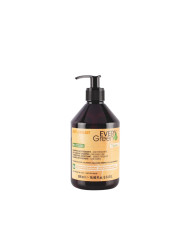 EVERYGREEN SHAMPOO ANTI-OXIDANT 500ML