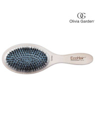 OLIVIA GARDEN  ECOHAIR PADDLE COMBO