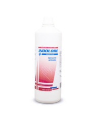 LH INDOLORE DISINFETTANTE RAPIDO 1000ML