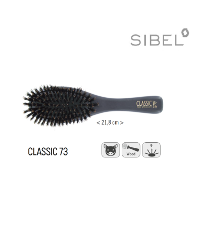 SPAZZOLA CLASSIC 73 CINGHIALE 9 FILE PNEUMATICA