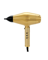 BABYLISS PRO GOLDFX 4ARTISTS PHON DIGITAL 2200W