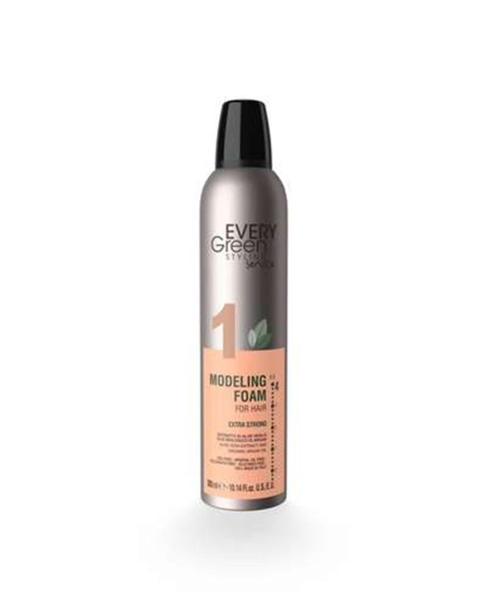 EVERYGREEN STYLING EV1 MODELLING FOAM EX STRONG