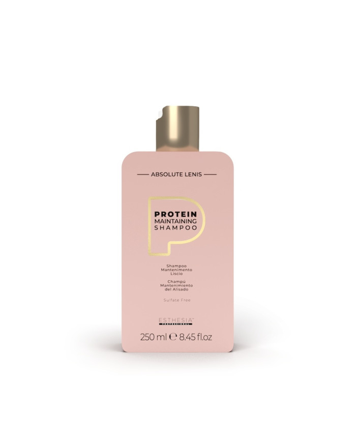 ABSOLUTE LENIS MAINTENANCE SHAMPOO 250ML