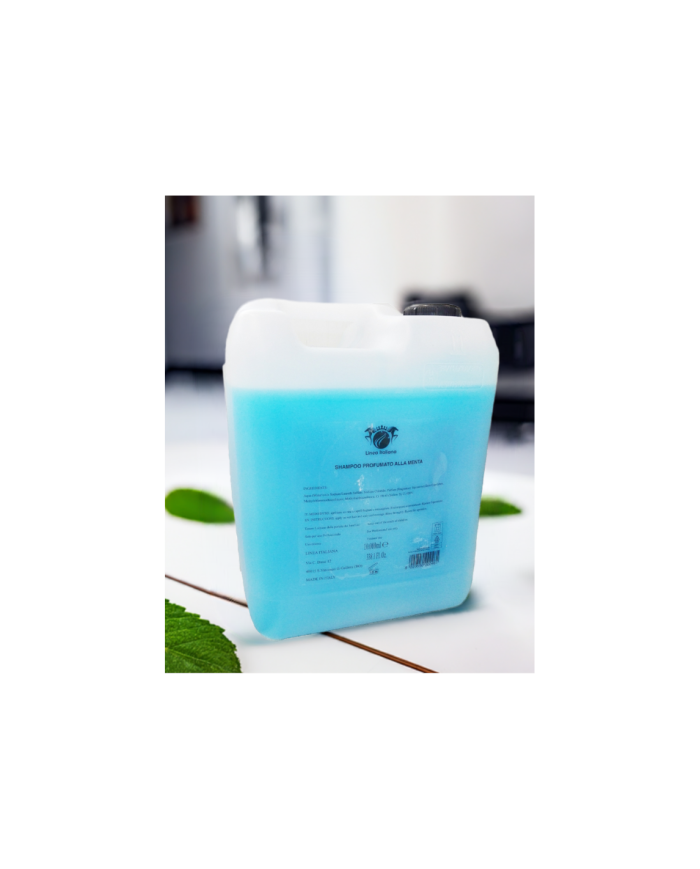 TANICA SHAMPOO MENTA 10 LITRI LINEAA ITALIANA BLU