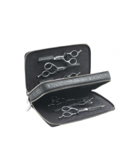 ASTUCCIO SIBEL WALLET 6 - SIBEL