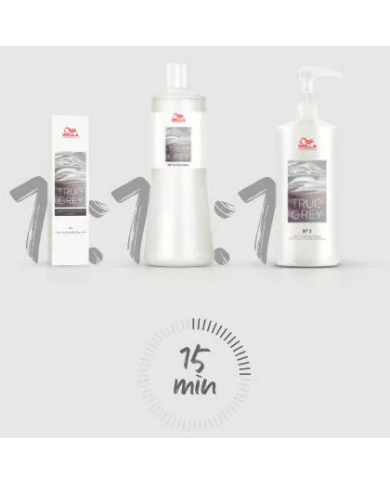 WP TRUE GREY CONDITIONING PERFECTOR 500ML