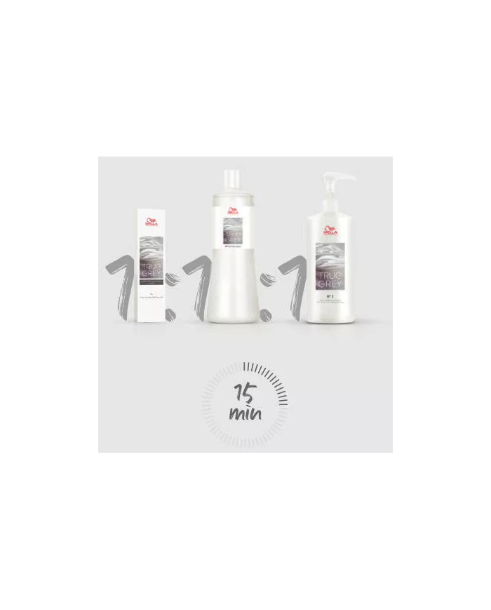 WP TRUE GREY CONDITIONING PERFECTOR 500ML
