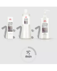 WP TRUE GREY CONDITIONING PERFECTOR 500ML