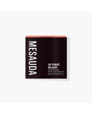 AT FIRST BLUSH - FARD COMPATTO - 101 FRENCH KISS