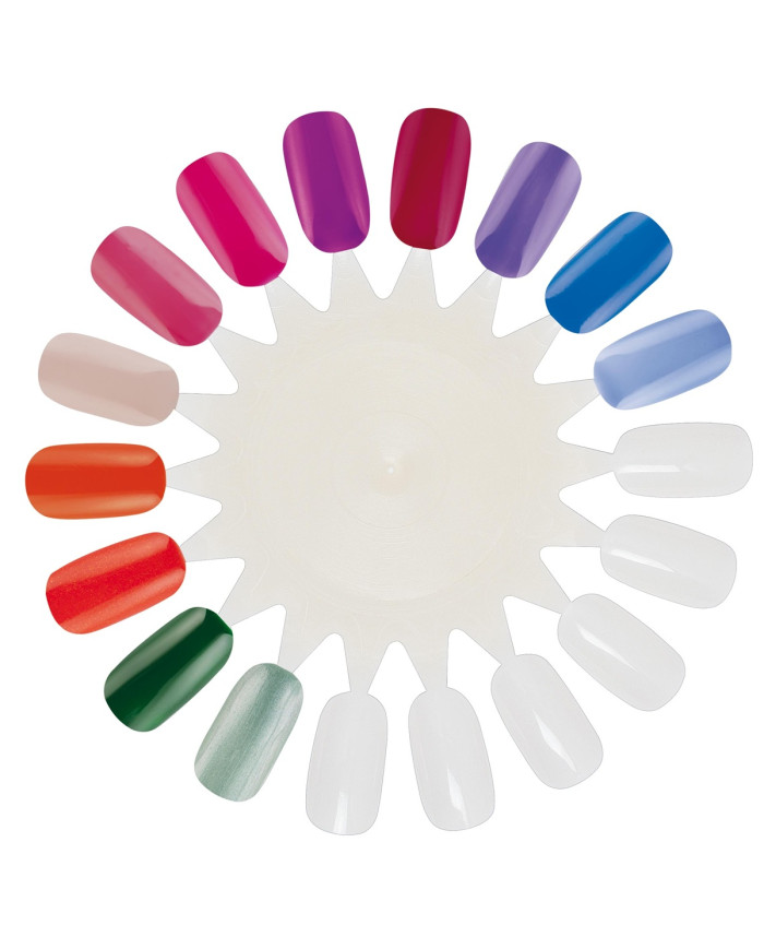 ESPOSITORE CIRCOLARE DA 18 COLORI XANITALIA
