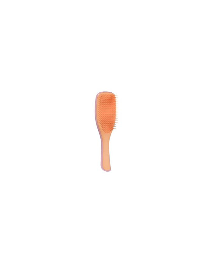 TT ULTIMATE DETANGLER LARGE SALMON