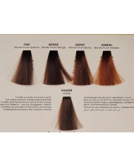 ECHOSLIGHT TONING GLOSS 100 ML - EBONY