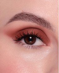 ASTRA CHROMO THERAPY LIQUID EYESHADOW 06M