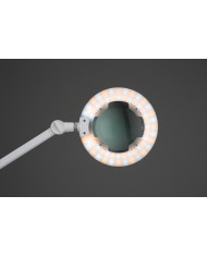LENTE 5D LED AIR TOUCH CON STATIVO SU RUOTE