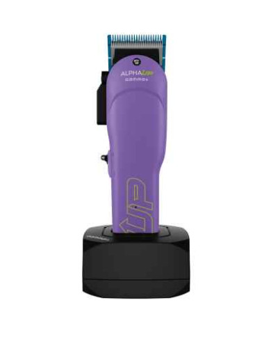 GAMMA+ CLIPPER ALPHA UP