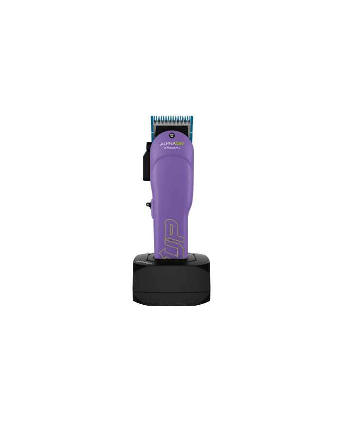 GAMMA+ CLIPPER ALPHA UP