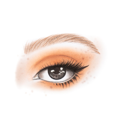 PLAYINN SHEEN TANGERINE EYE SHADOW PALETTE