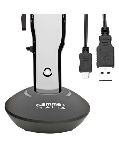 GAMMA + ABSOLUTE ALPHA