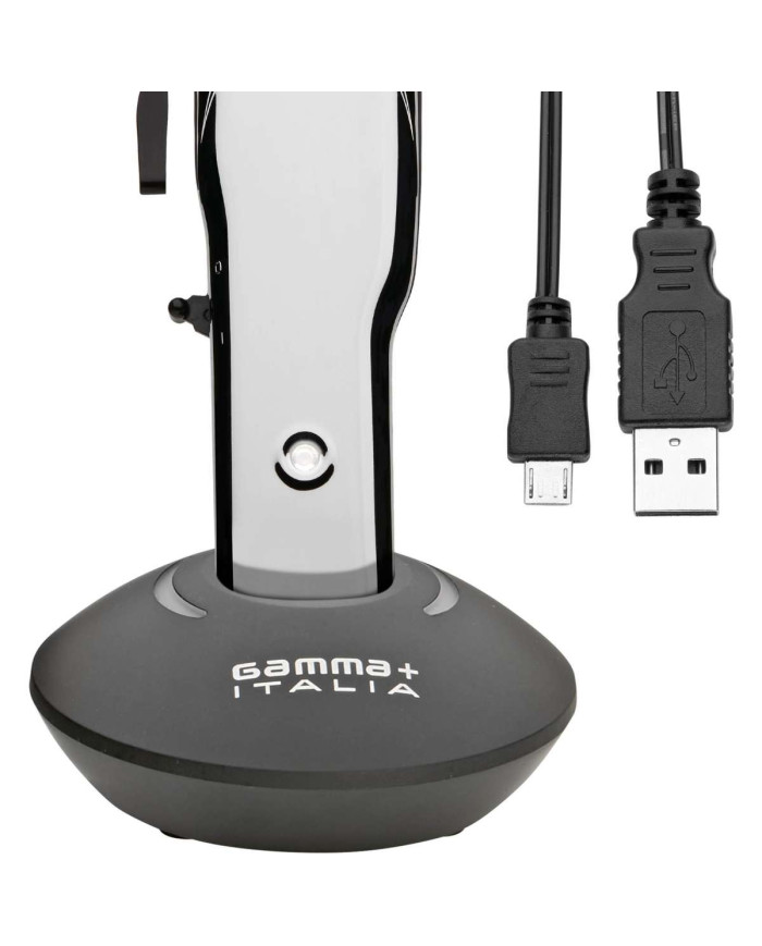 GAMMA + ABSOLUTE ALPHA
