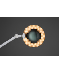 LENTE 5D LED AIR TOUCH CON STATIVO SU RUOTE